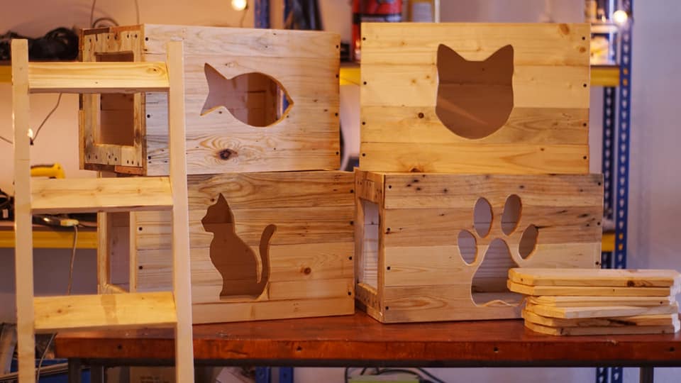 Cat Wall Boxes